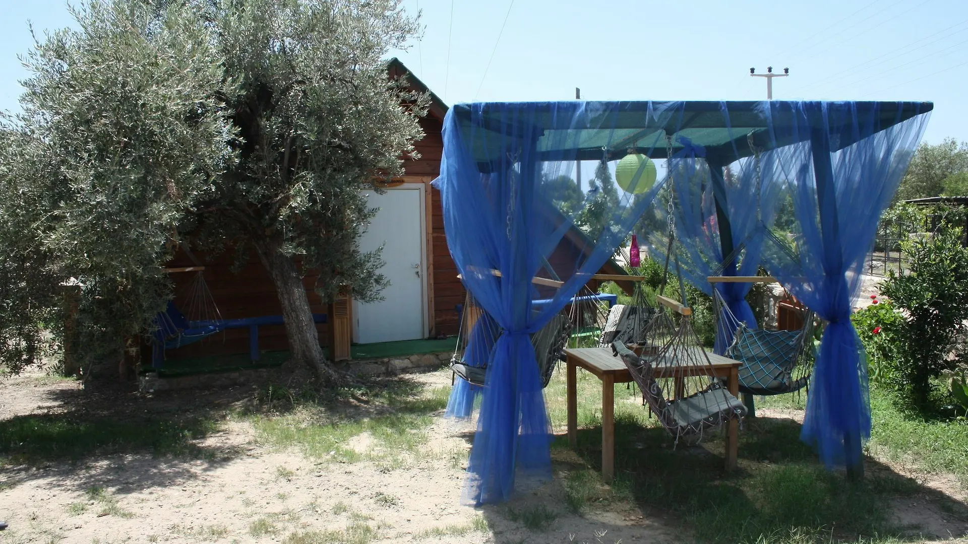 Datcanka Ahsap & Kutuk Evler Mesudiye  Casa de hóspedes